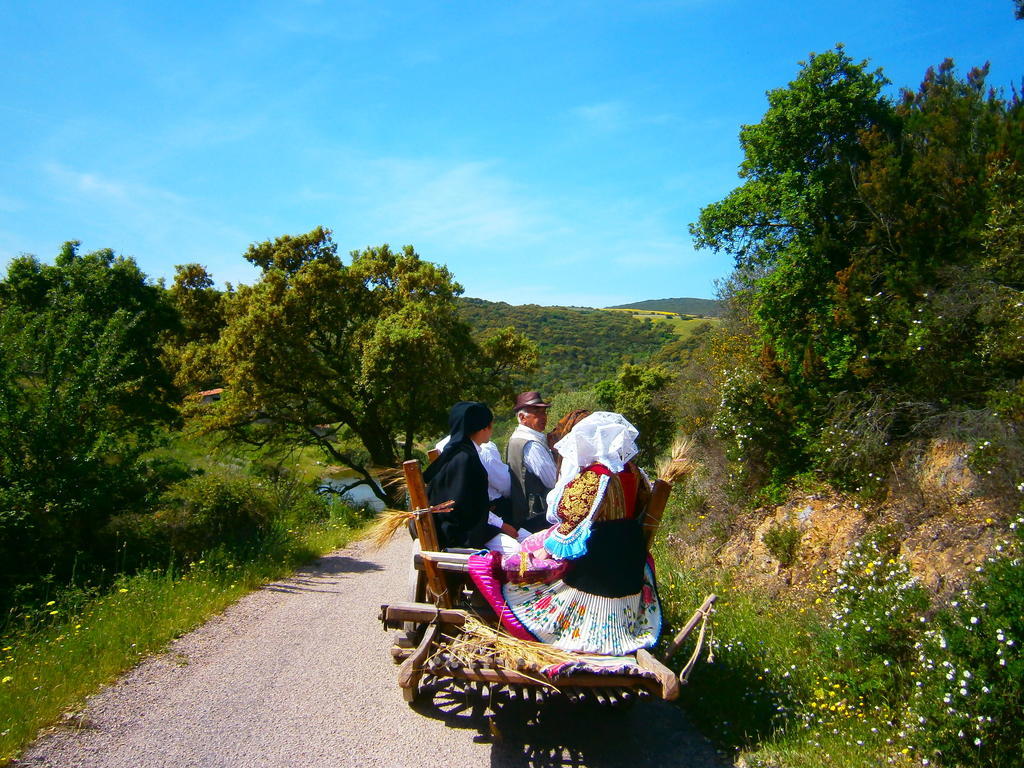 Agriturismo Il Muto Di Gallura Aggius Exterior photo