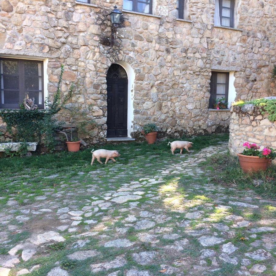 Agriturismo Il Muto Di Gallura Aggius Exterior photo